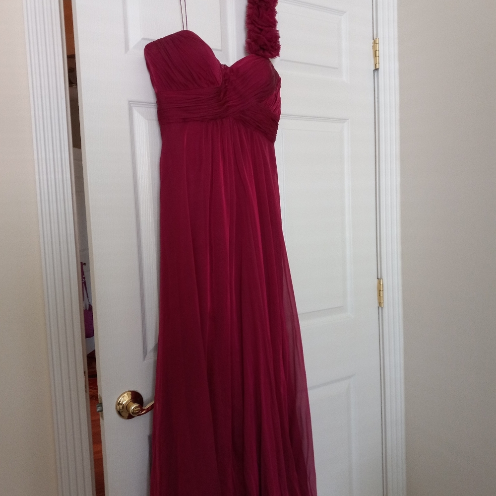 Rickie Freeman for Teri Jon chiffon evening gown from Saks, raspberry color.